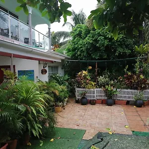 Creole Pointe La Rue